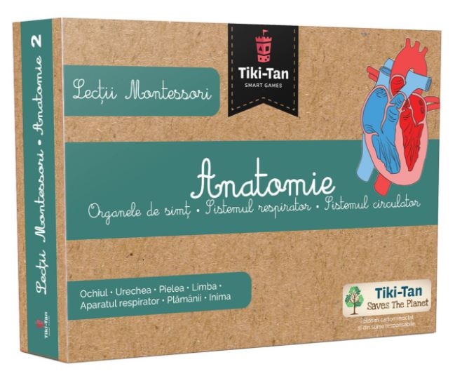Anatomie: Organe de simt, Sistemul respirator si Sistemul circulator - Lectii Montessori pentru copii (3+ ani) Anatomie: Organe de simt, Sistemul respirator si Sistemul circulator - Lectii Montessori pentru copii (3+ ani)