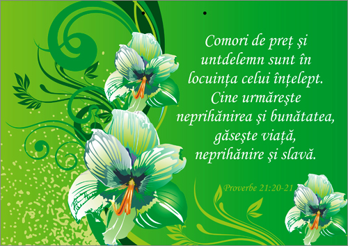 Poster- Comori de pret... Poster- Comori de pret...