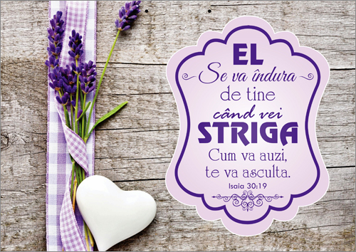 poster-El se va indura de tine poster-El se va indura de tine