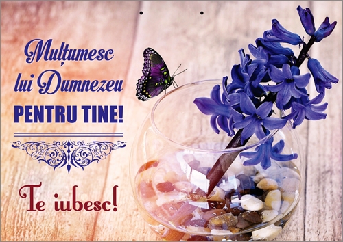 Poster cu mesaj - Mulțumesc Domnului.. Poster cu mesaj - Mulțumesc Domnului..