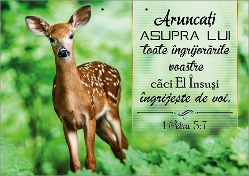 Poster cu verset - Aruncati asupra Lui toate ingrijorarile voastre... Poster cu verset - Aruncati asupra Lui toate ingrijorarile voastre...