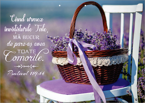 Poster cu verset - Cand urmez invataturile Tale... Poster cu verset - Cand urmez invataturile Tale...