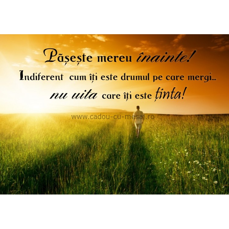 Poster citate - Paseste mereu inainte Poster citate - Paseste mereu inainte