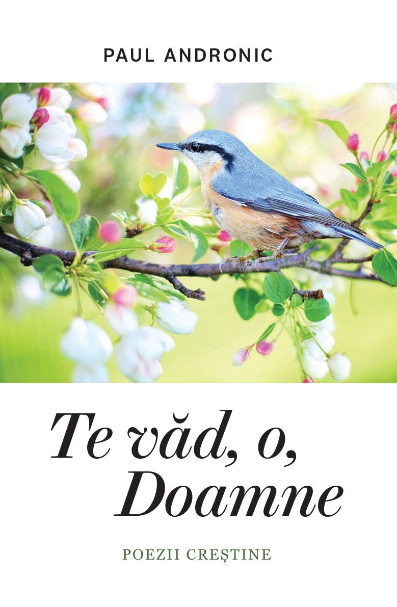 Te văd, o, Doamne - Poezii crestine