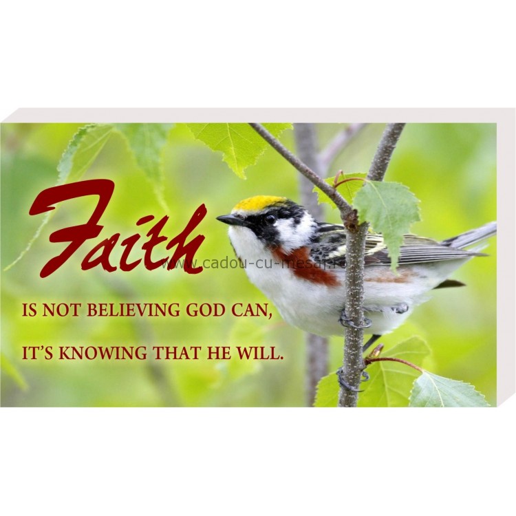 Placheta birou- Faith Placheta birou- Faith