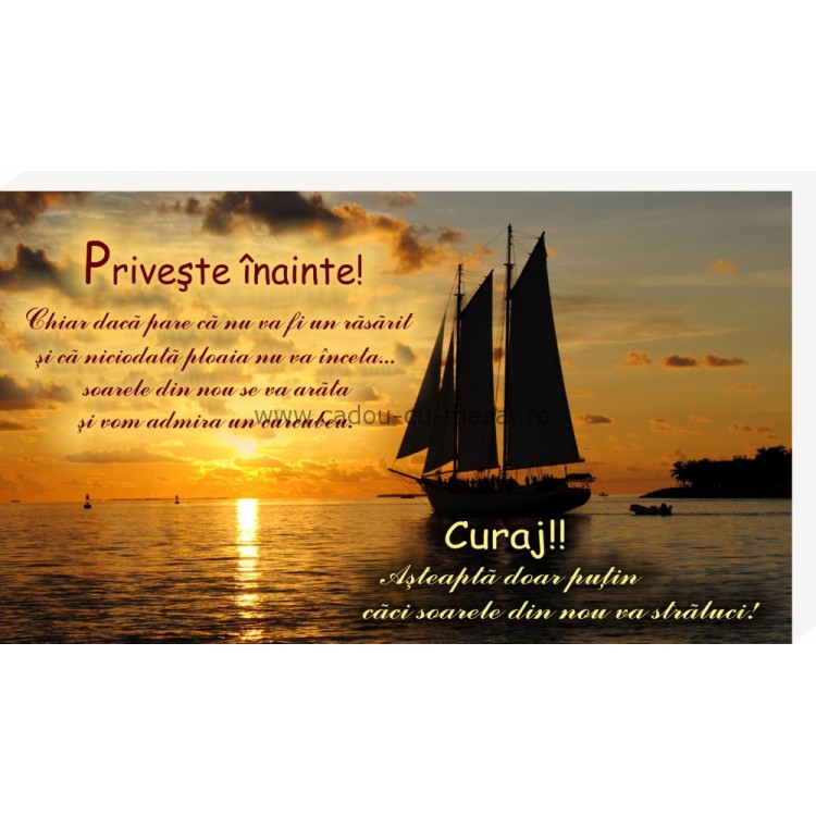 Placheta birou- Privește înainte Placheta birou- Privește înainte