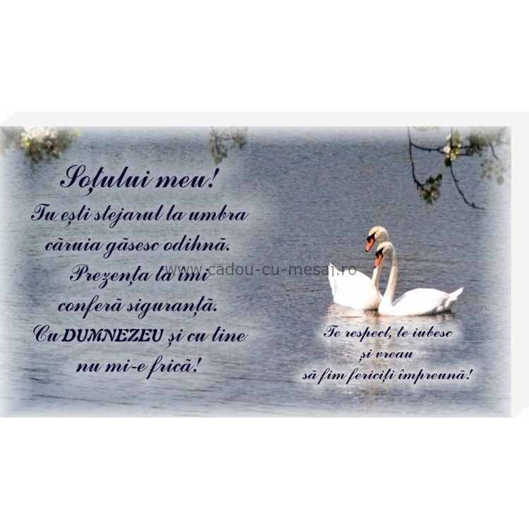 Placheta birou- Soțului meu Placheta birou- Soțului meu