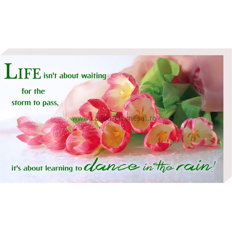 Placheta birou - Life isn,t about waiting
