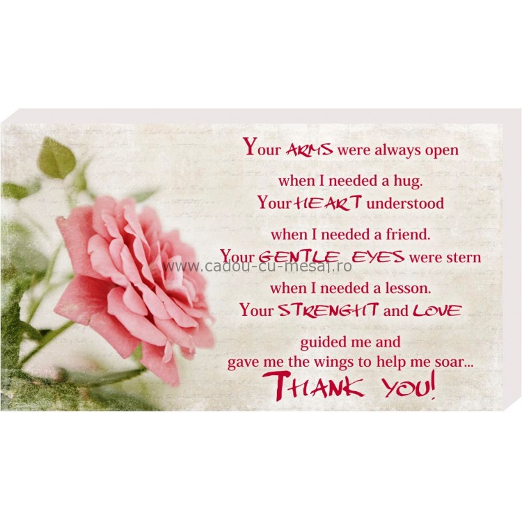 Placheta birou - Your arms were always open Placheta birou - Your arms were always open