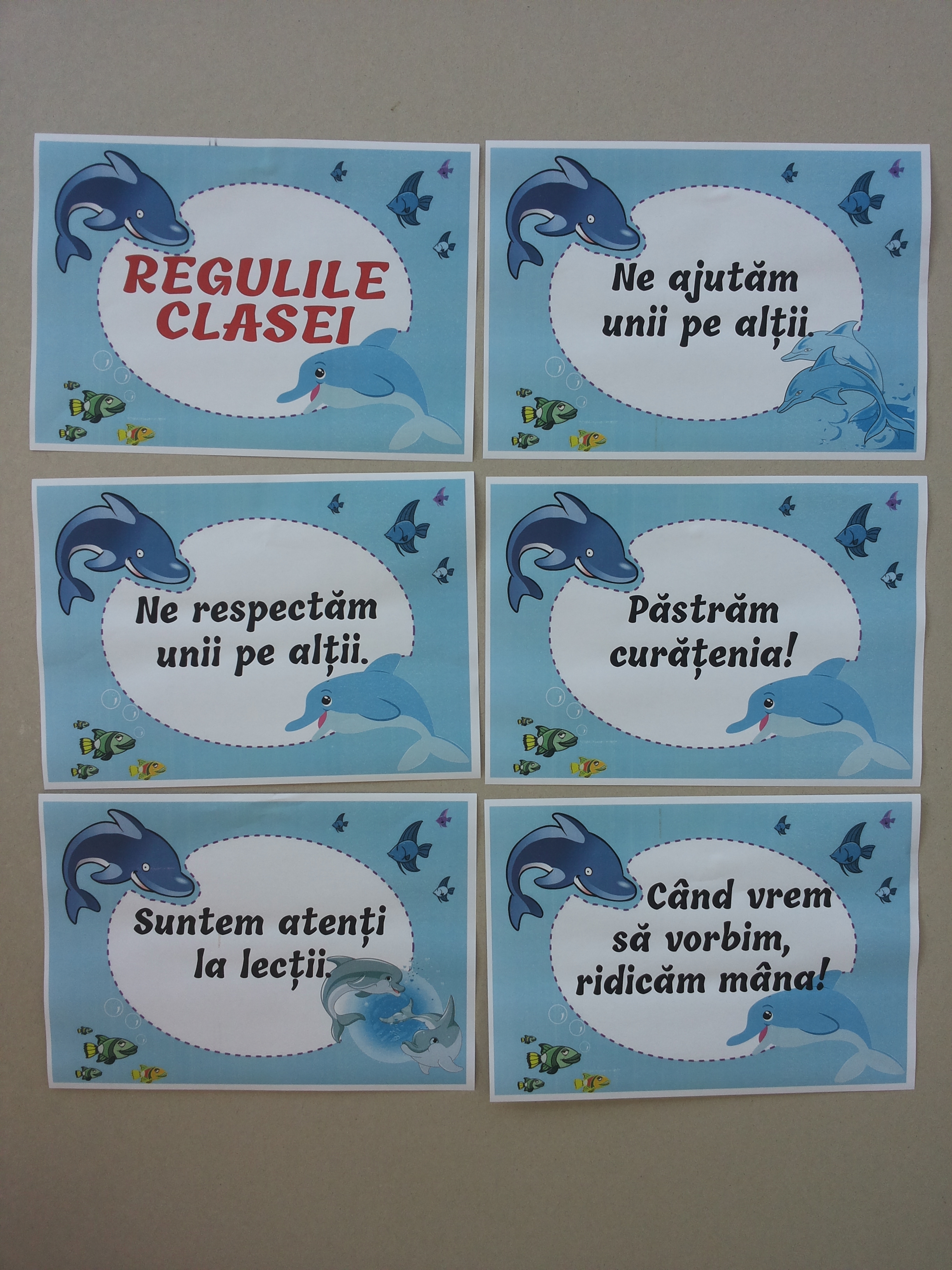 Planse Regulile clasei delfinilor