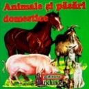 Pliant - Animale si pasari domestice Pliant - Animale si pasari domestice
