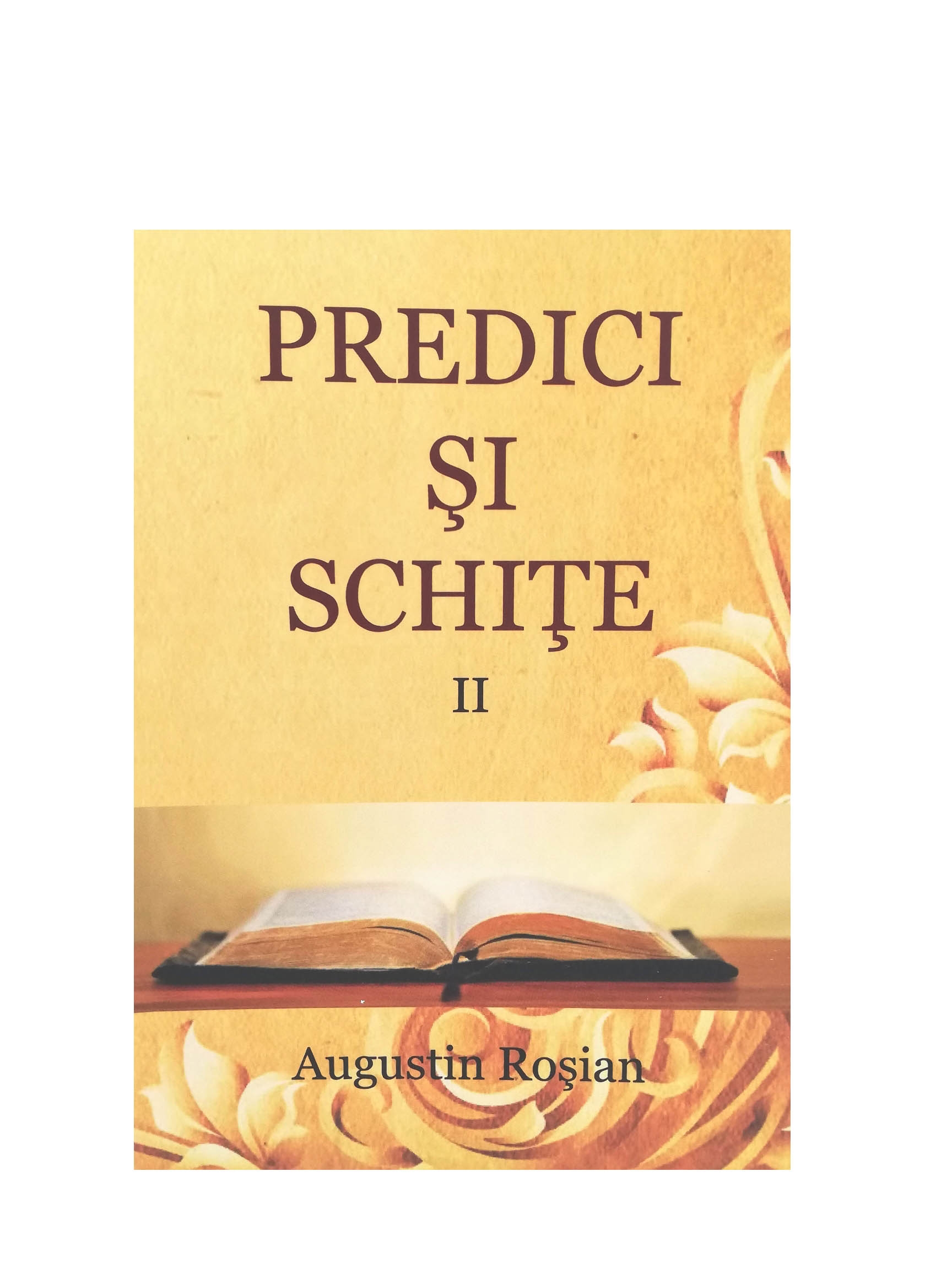Predici si schite - vol. II