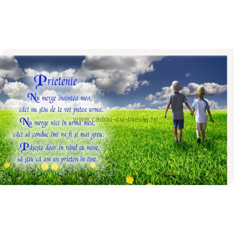 Placheta birou- Prietenie Placheta birou- Prietenie