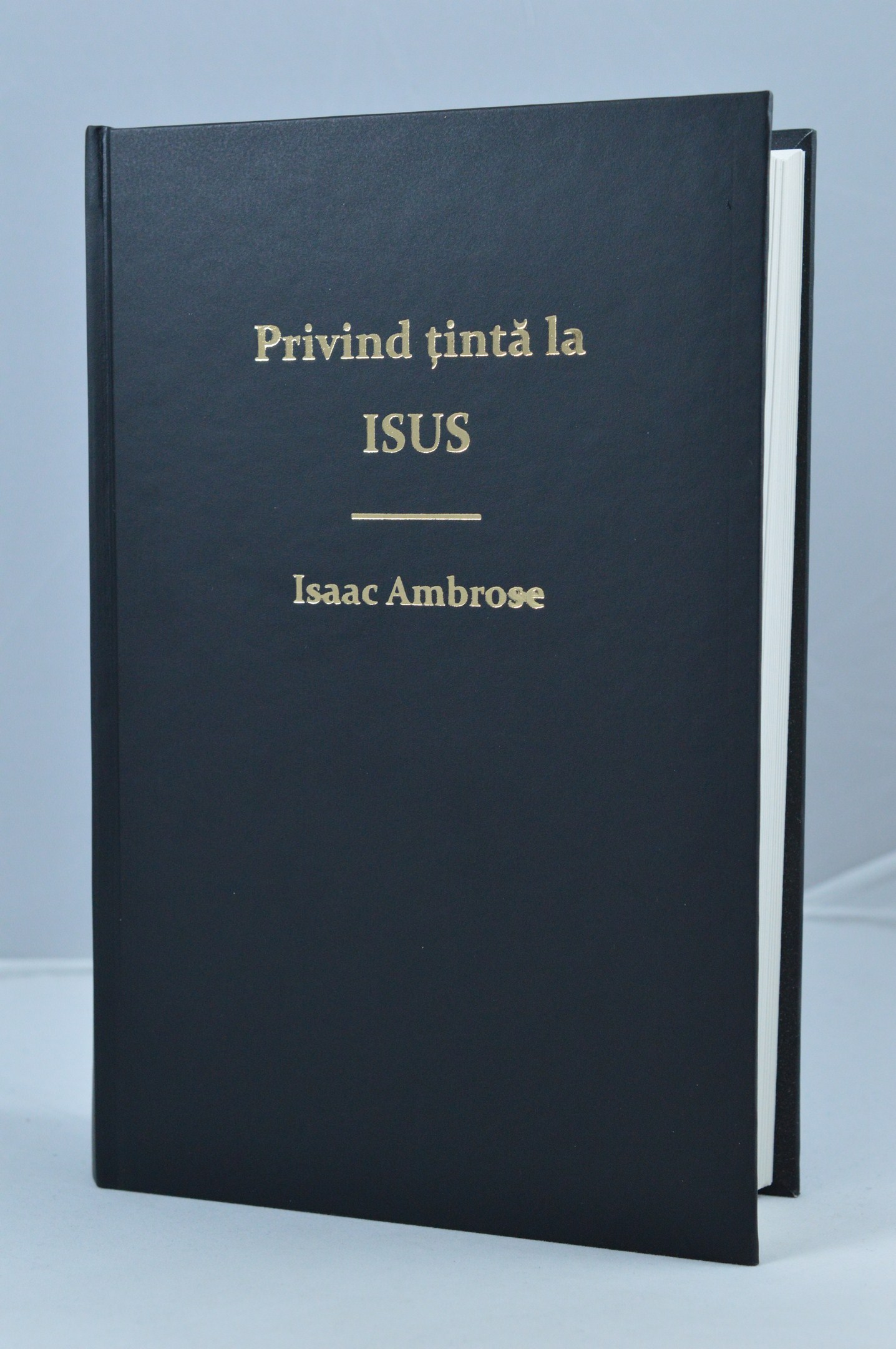 Privind tinta la Isus Privind tinta la Isus