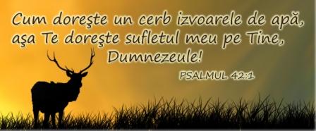 Placat motivational - Cum doreste un cerb izvoarele de apa Placat motivational - Cum doreste un cerb izvoarele de apa