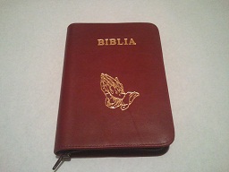 Biblia 052 visiniu cu maini Biblia 052 visiniu cu maini