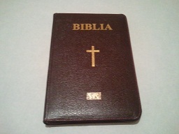 Biblia marime mare, din piele, maro, aurita [LB 073 PF]