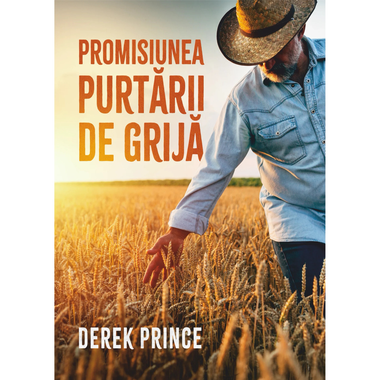 Promisiunea purtării de grijă Promisiunea purtării de grijă