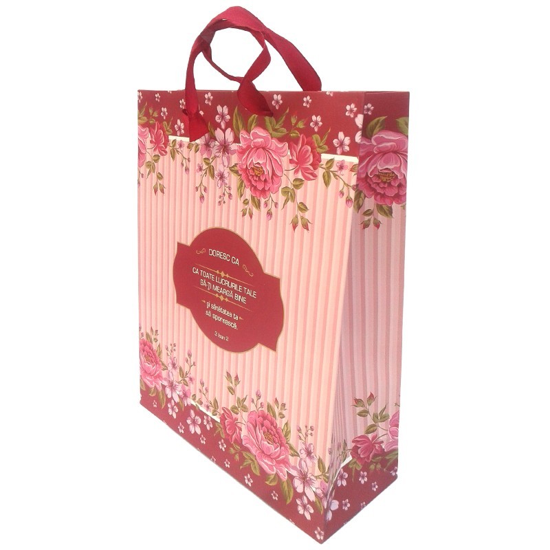 Punga mare pentru cadouri - Doresc ca toate lucrurile Punga mare pentru cadouri - Doresc ca toate lucrurile