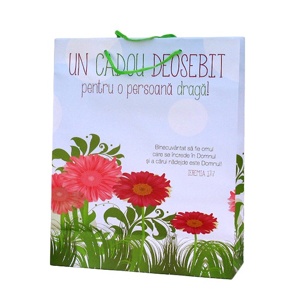 Punga mare pentru cadouri - Un cadou special Punga mare pentru cadouri - Un cadou special