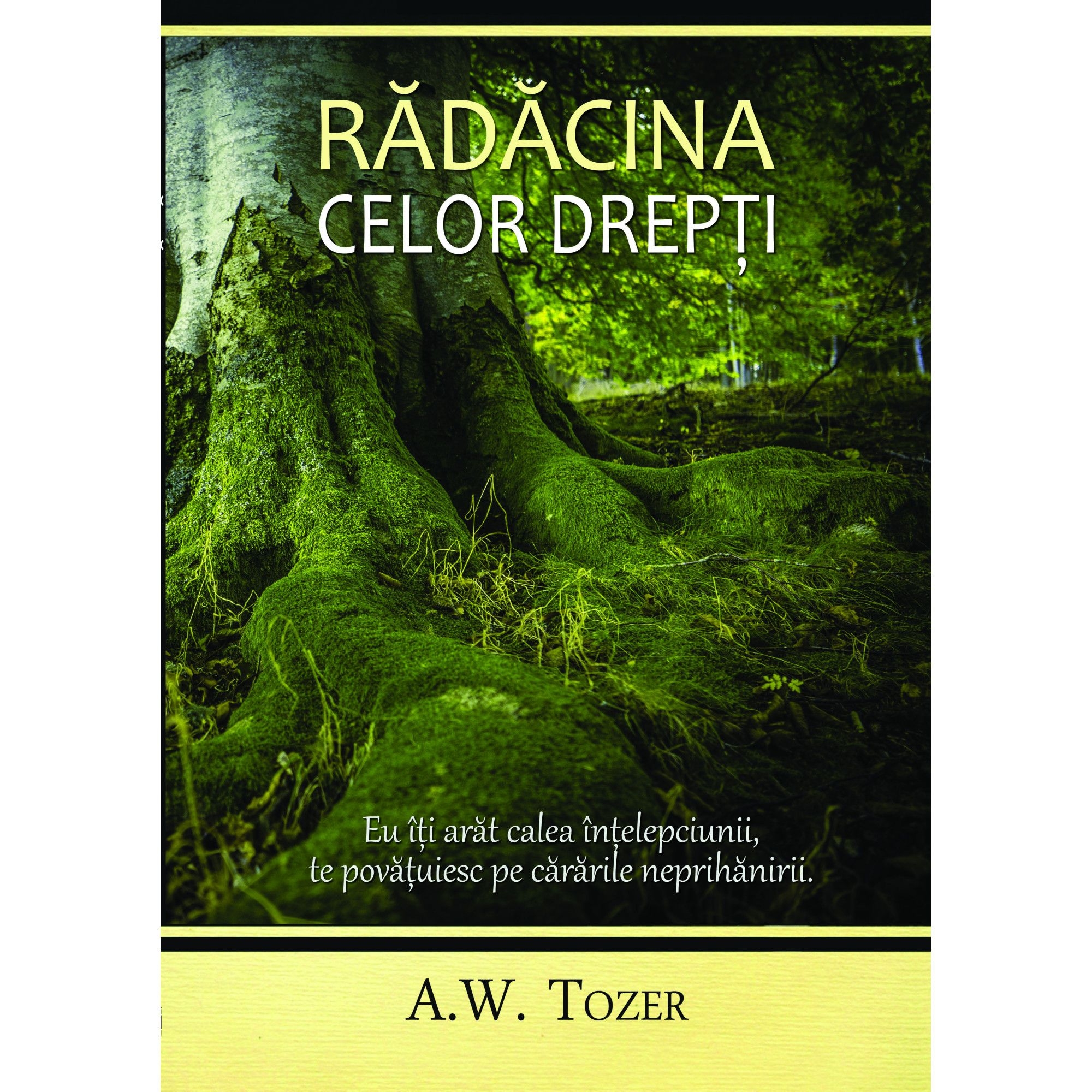 Rădăcina celor drepţi Rădăcina celor drepţi