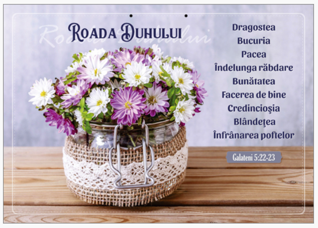 Poster - Roada Duhului - Galateni5:22-23