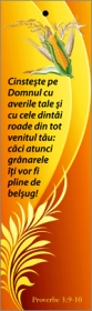 Semn de carte cu panglica portocalie  - Cinsteste pe Domnul Semn de carte cu panglica portocalie  - Cinsteste pe Domnul