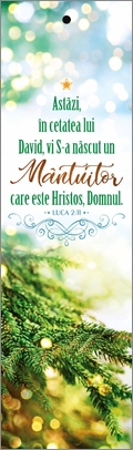 Semn de carte cu panglica verde-  Verset: "Astăzi, în cetatea lui David, vi S-a născut un Mântuitor, care este Hristos, Domnul! " Luca 2:11 Semn de carte cu panglica verde-  Verset: "Astăzi, în cetatea lui David, vi S-a născut un Mântuitor, care este Hristos, Domnul! " Luca 2:11
