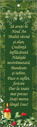 Semn de carte cu panglica verde -  Mesaj: " Să aveți în Noul An / Multă râvnă și elan... Semn de carte cu panglica verde -  Mesaj: " Să aveți în Noul An / Multă râvnă și elan...
