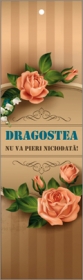 Semn de carte cu panglica crem - Dragostea nu va pieri niciodata! Semn de carte cu panglica crem - Dragostea nu va pieri niciodata!