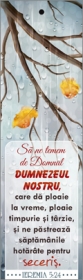 Semn de carte cu panglica gri  - Sa ne temem de Domnul Semn de carte cu panglica gri  - Sa ne temem de Domnul