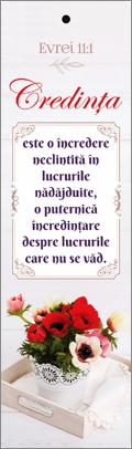 Semn de carte cu panglica rosie - "  Credinta este o incredere neclintita !" Semn de carte cu panglica rosie - "  Credinta este o incredere neclintita !"