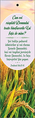 Semn de carte cu panglica olive - Verset: "Cum voi răsplăti Domnului toate binefacerile Lui faţă de mine? ..." Psalmul 116:12-14 Semn de carte cu panglica olive - Verset: "Cum voi răsplăti Domnului toate binefacerile Lui faţă de mine? ..." Psalmul 116:12-14