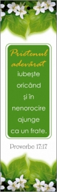 Semn de carte cu panglica verde  - Prietenul adevarat Semn de carte cu panglica verde  - Prietenul adevarat