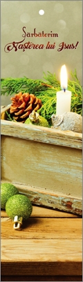 Semn de carte cu panglica verde -  Mesaj:  "Sărbătorim Nașterea lui Isus" Semn de carte cu panglica verde -  Mesaj:  "Sărbătorim Nașterea lui Isus"