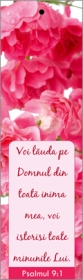Semn de carte cu panglica roz deschis - Voi lauda pe Domnul Semn de carte cu panglica roz deschis - Voi lauda pe Domnul