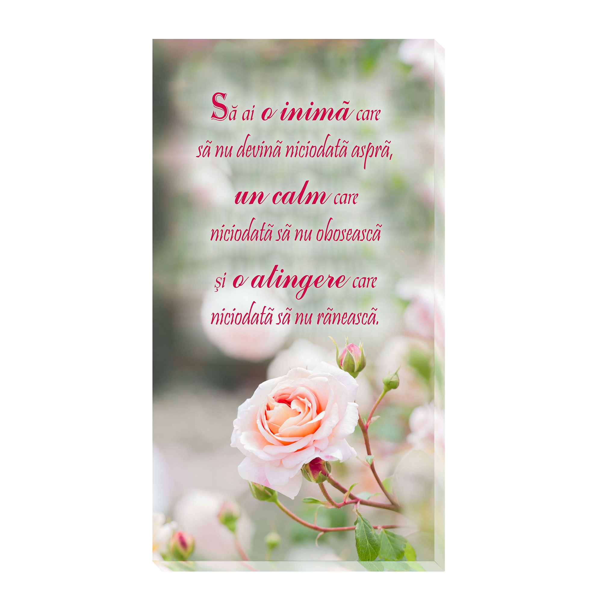 Tablou canvas -Sa ai o inima (25x50 cm) Tablou canvas -Sa ai o inima (25x50 cm)