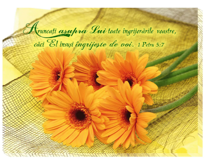 Tablou canvas (25x30cm) - Aruncați asupra Lui Tablou canvas (25x30cm) - Aruncați asupra Lui