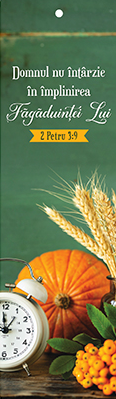 Semn de carte cu panglica galbenă  -  Verset:  "Domnul nu întârzie în împlinirea făgăduinţei Lui." 2 Petru 3:9  [33]