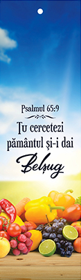 Semn de carte cu panglica albastră  -  Verset:  "Tu cercetezi pământul şi-i dai belşug." Psalmul 65:9    [38]