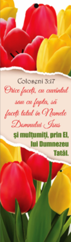 Semn de carte cu panglica  roșie  -   Verset:  "Orice faceţi, cu cuvântul sau cu fapta, să faceţi totul în Numele Domnului Isus şi mulţumiţi, prin El, lui Dumnezeu Tatăl." Coloseni 3:17   [60]
