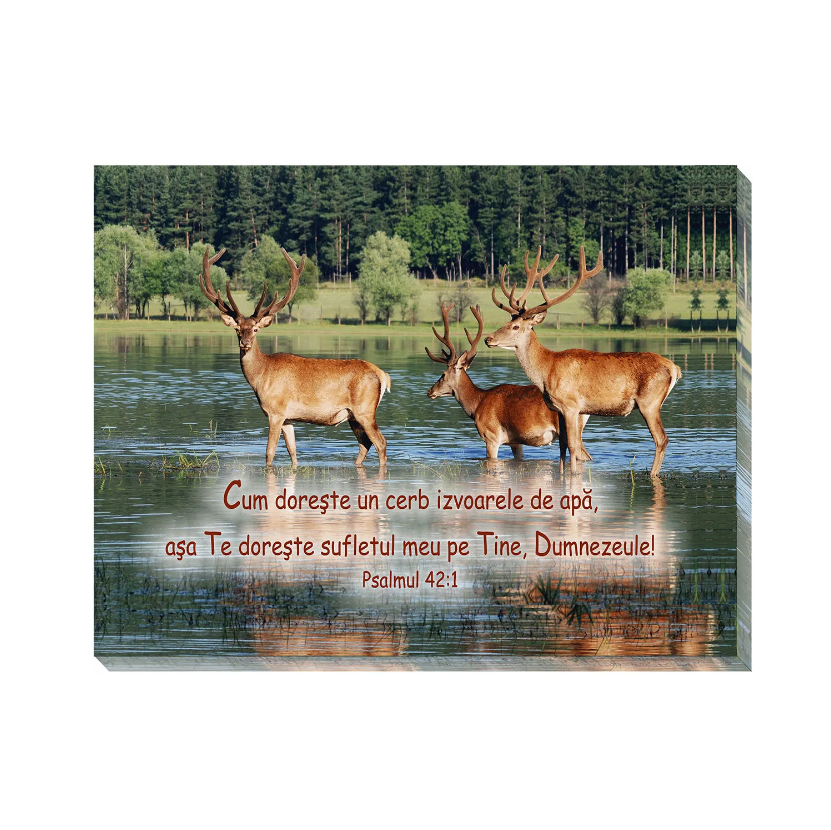 Tablou canvas (25x30cm) -  Cum dorește un cerb Tablou canvas (25x30cm) -  Cum dorește un cerb