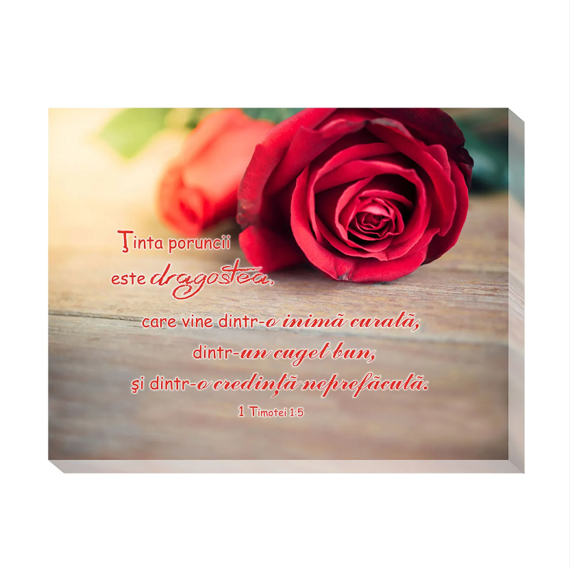 Tablou canvas (25x30cm) - Ținta poruncii este dragostea