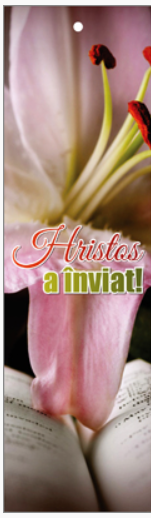 Semn de carte cu panglica roz -  Text:  "Hristos a înviat!"    [118]