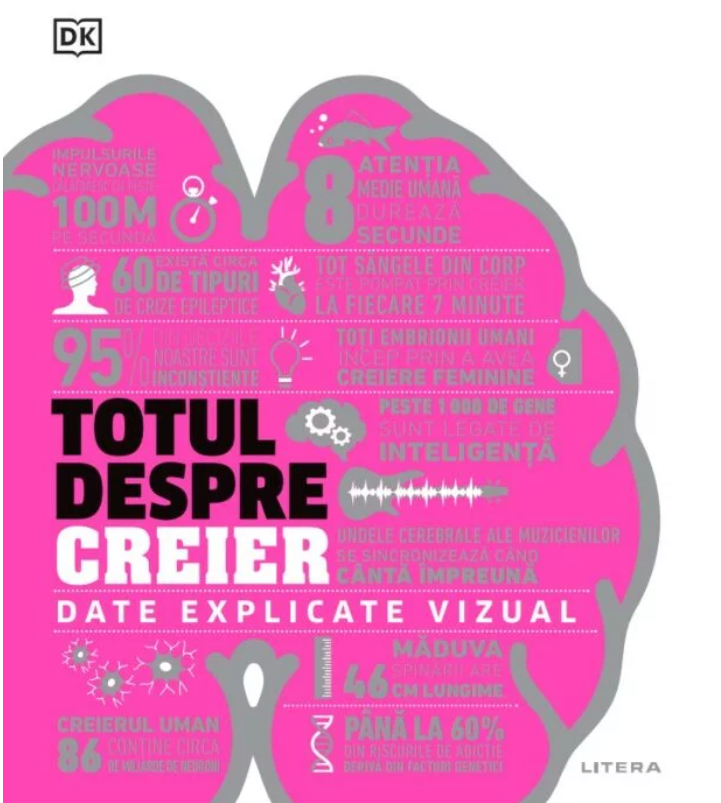 Totul despre creier Totul despre creier