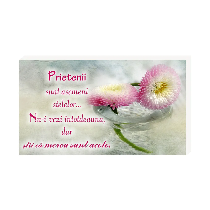 Placheta birou- Prietenii sunt ca stelele Placheta birou- Prietenii sunt ca stelele