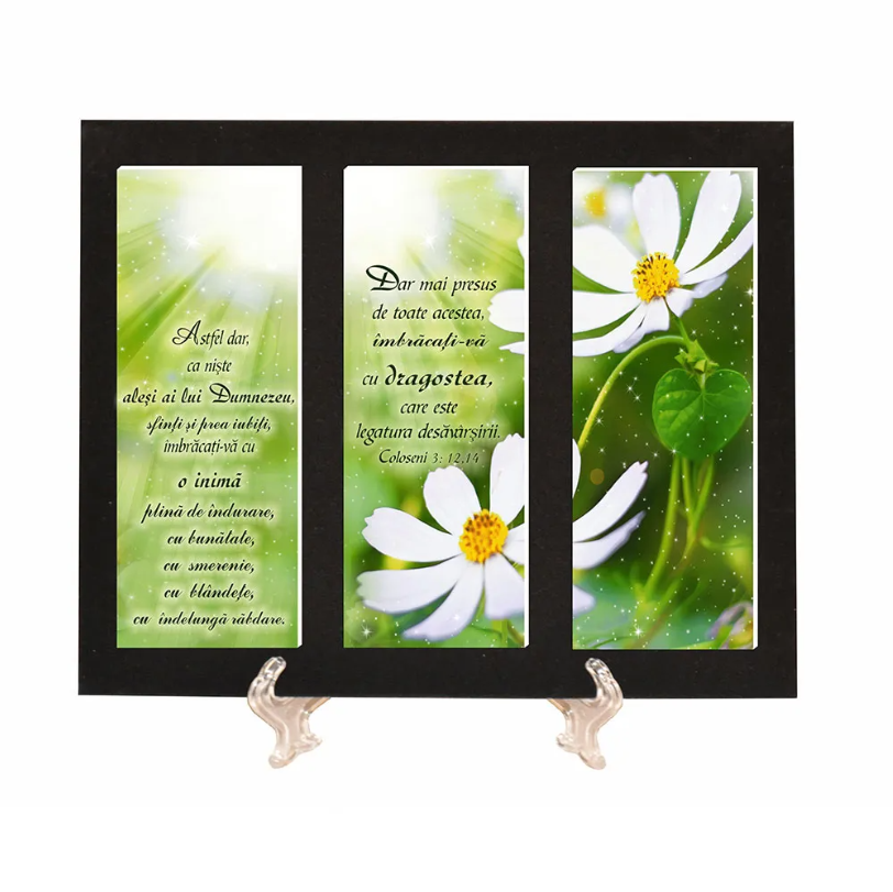 Placheta catifea - Aleși ai lui Dumnezeu