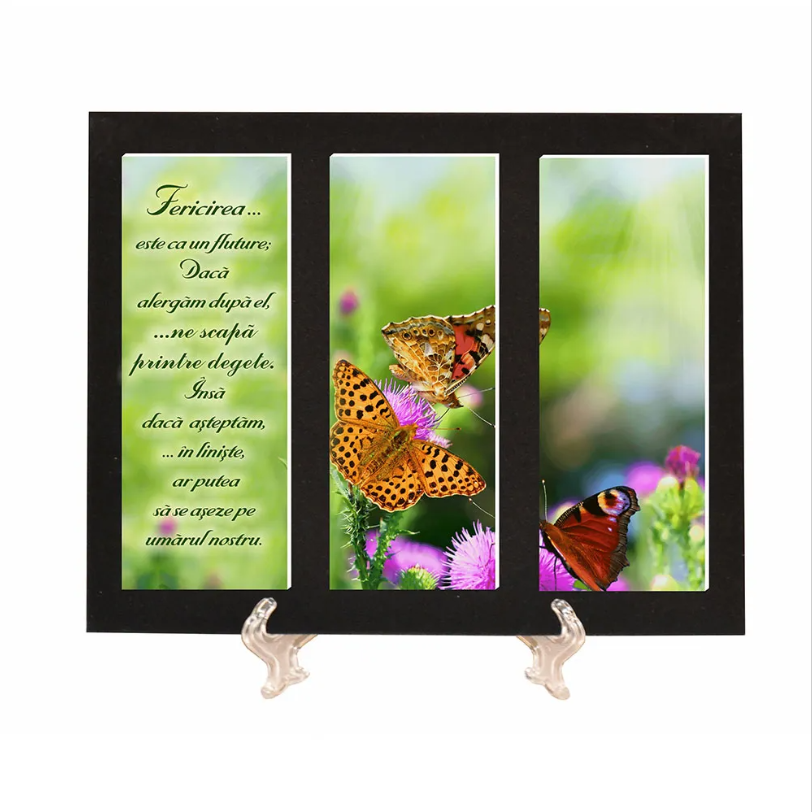 Placheta catifea - Fericirea este ca un fluture Placheta catifea - Fericirea este ca un fluture