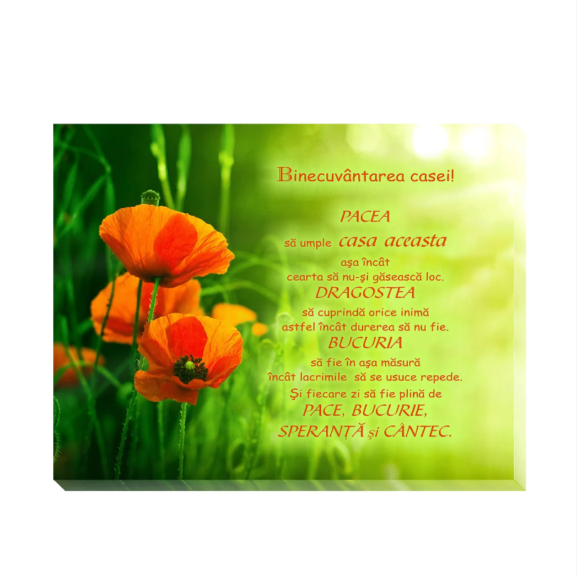 Tablou canvas (25x30cm) - Binecuvântarea casei Tablou canvas (25x30cm) - Binecuvântarea casei