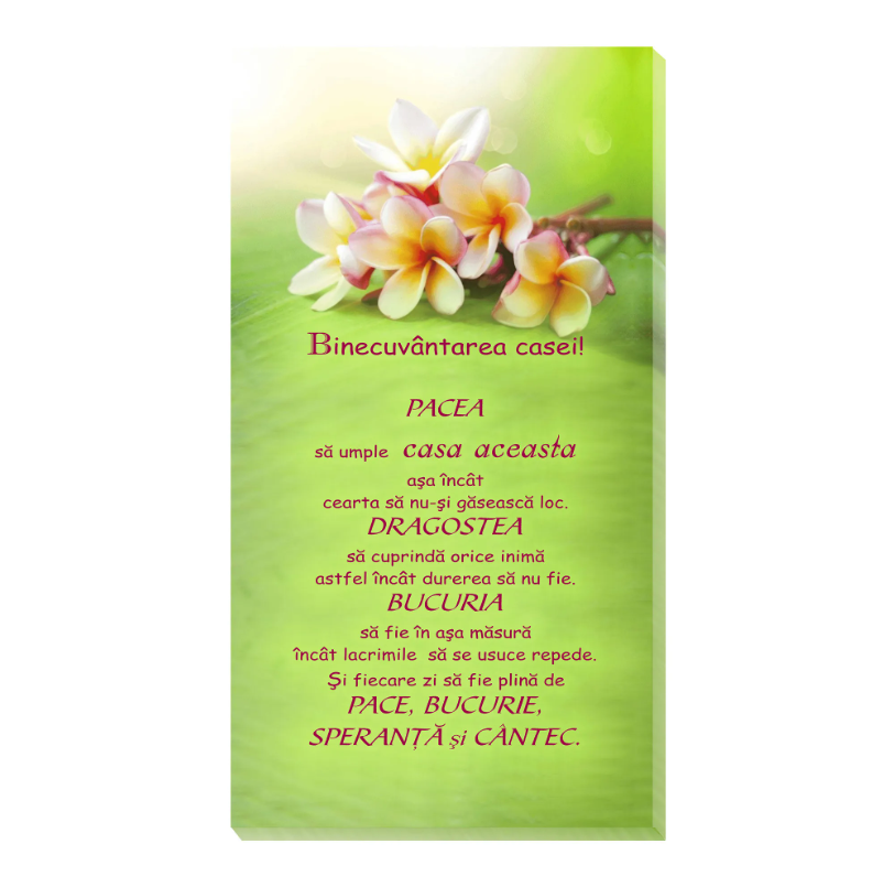 Tablou canvas -Binecuvantarea casei!(25x50 cm) Tablou canvas -Binecuvantarea casei!(25x50 cm)